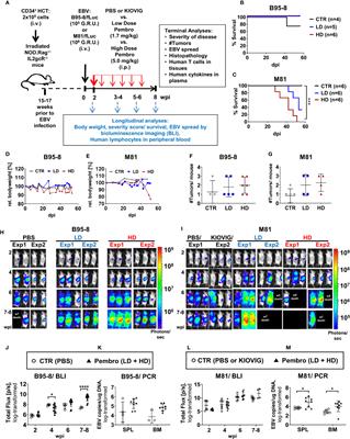 PD-1 Blockade Aggravates Epstein–Barr Virus+ Post-Transplant Lymphoproliferative Disorder in Humanized Mice Resulting in Central Nervous System Involvement and CD4+ T Cell Dysregulations